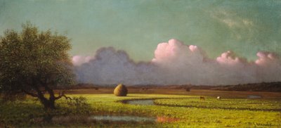 Luz del Sol y Sombra: Los Pantanos de Newbury de Martin Johnson Heade