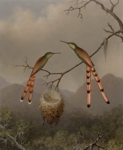 Dos colibríes con sus crías de Martin Johnson Heade