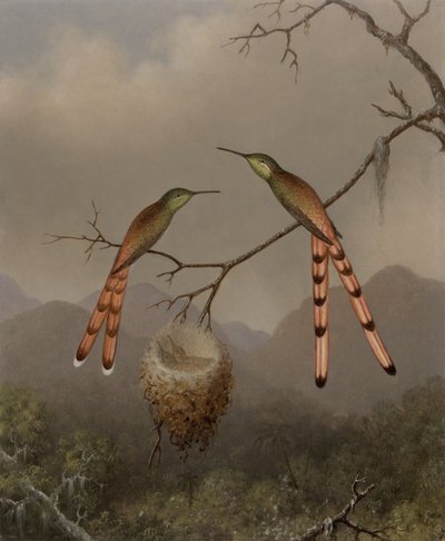  de Martin Johnson Heade