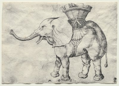 Un elefante con howdah de Martin Schongauer