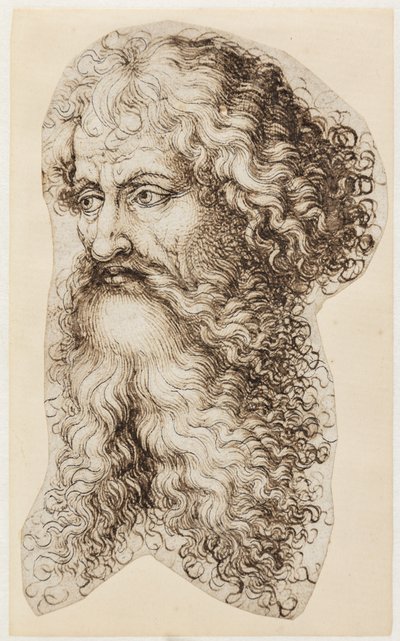 Cabeza de hombre barbudo en perfil de tres cuartos hacia la izquierda de Martin Schongauer