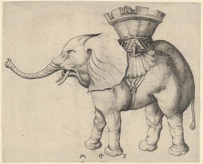 Elefante de Martin Schongauer