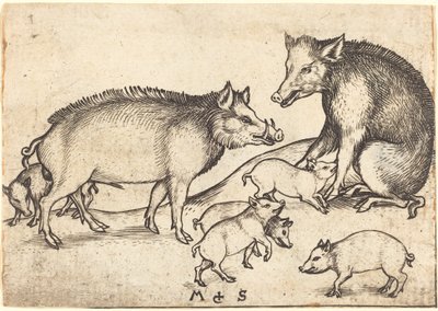 Familia de Cerdos de Martin Schongauer