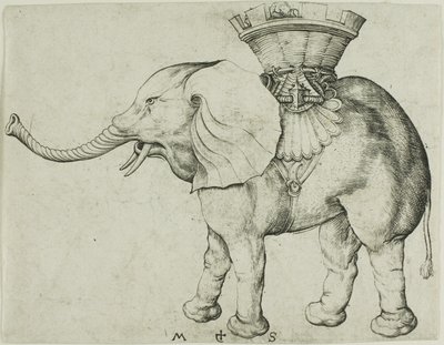 El elefante de Martin Schongauer