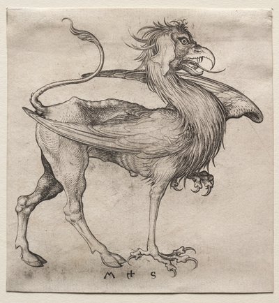 El Grifo de Martin Schongauer