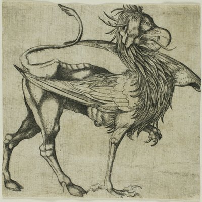 El Grifo de Martin Schongauer