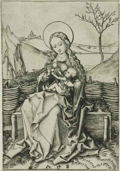 La Virgen con el Niño sobre un banco de hierba de Martin Schongauer