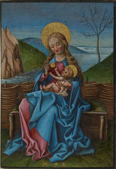 La Virgen y el Niño en un banco de hierba, finales del siglo XV de Martin Schongauer