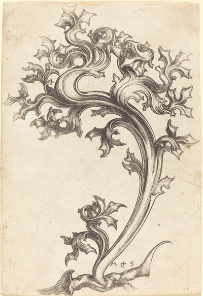 Ornamento de Cardo de Martin Schongauer