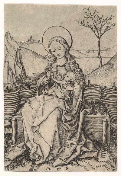 Virgen y Niño en un banco de hierba de Martin Schongauer