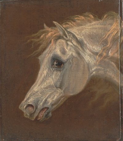 Cabeza de caballo árabe gris de Martin Theodore Ward