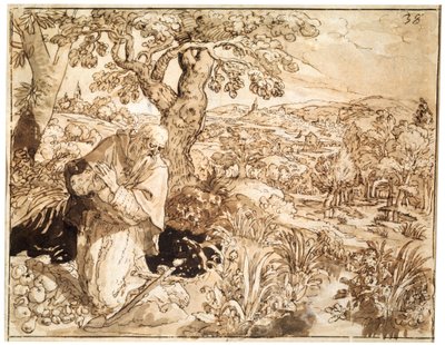 Un ermitaño, 1585-1586 de Maarten de Vos