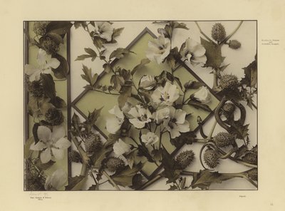 Uno de los festones y grupos decorativos de Martin Gerlach (foto en blanco y negro) de Martin senior Gerlach