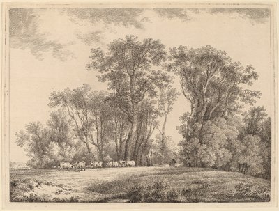 Un prado con ganado al borde de un bosque de Martin von Molitor
