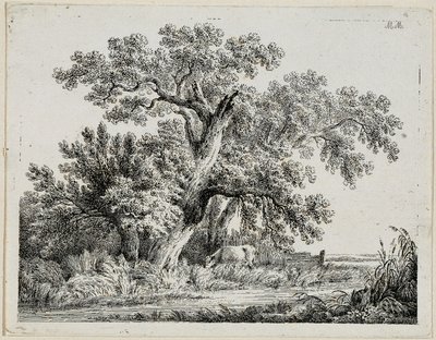 paisaje de Martin von Molitor