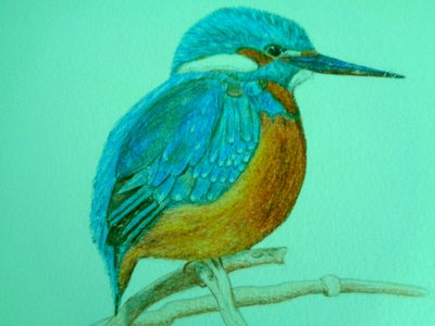 Pájaro de Martina Konitzky