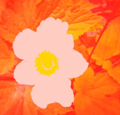 Flor (Homenaje a Andy Warhol) de Martina Konitzky