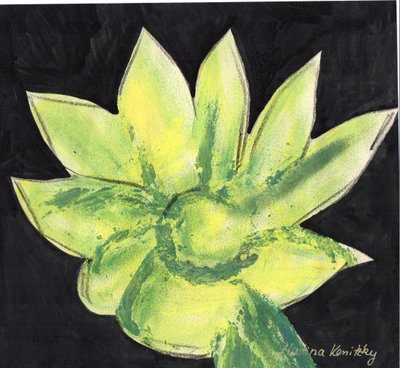 Cactus de Martina Konitzky