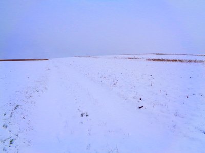 Campos en invierno de Martina Konitzky