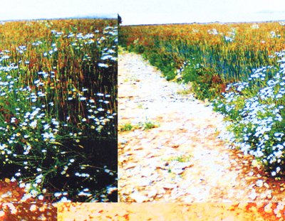 Camino de campo de Martina Konitzky