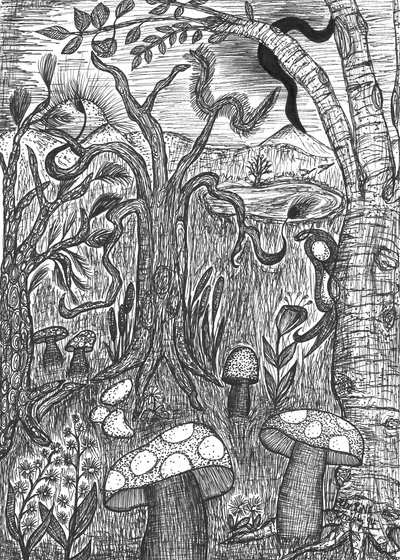 Paisaje con hongos de Martina Konitzky