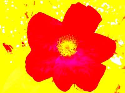 Popart Hommage Andy Warhol de Martina Konitzky