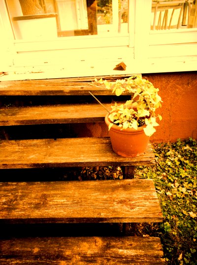 Escalera de la veranda de Martina Konitzky