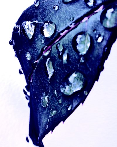 Gota de agua azul de Martina Konitzky