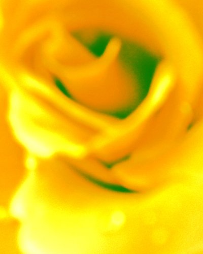 Amarillo de Martina Konitzky