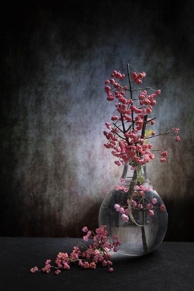  de Martine Benezech