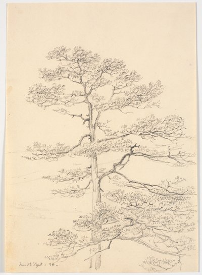Un pino de Martinus Rørbye