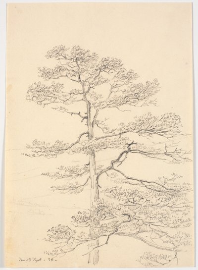 Un pino de Martinus Rørbye