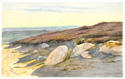 Desde las colinas de Gærum en Vendsyssel, 22 de mayo de 1833 de Martinus Rørbye