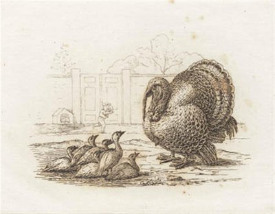 Ilustración de "Halvhundrede Fabler for Børn" de Hey de Martinus Rørbye