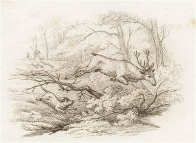 Ilustración de "Halvhundrede Fabler for Børn" de Hey de Martinus Rørbye