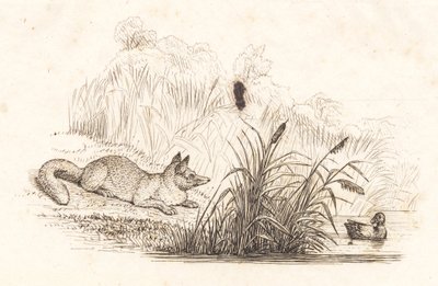 Ilustración para "Cincuenta fábulas para niños" de Hey de Martinus Rørbye