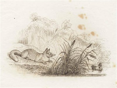 Ilustración para "Cincuenta Fábulas para Niños" de Hey de Martinus Rørbye