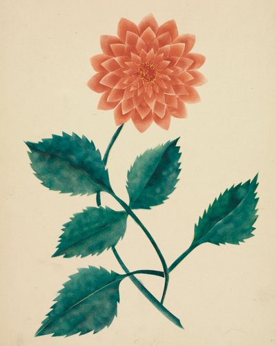 Dalia de Mary Altha Nims