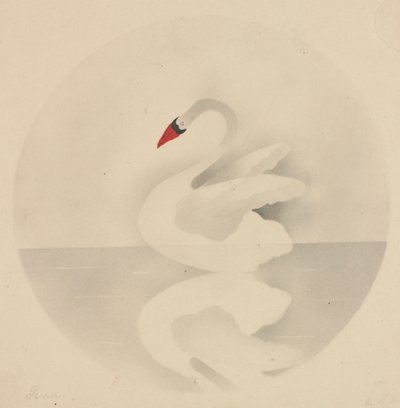Cisne de Mary Altha Nims