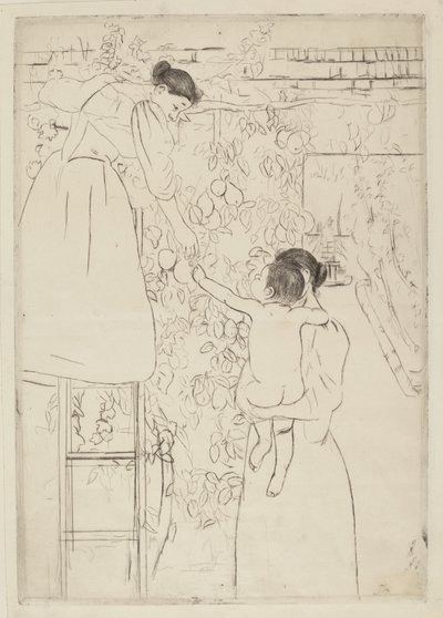 Recolectando fruta, c. 1893 de Mary Cassatt