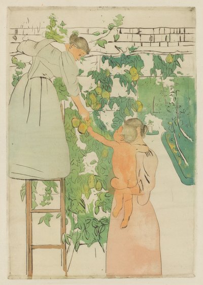 Recolectando fruta, c. 1893 de Mary Cassatt