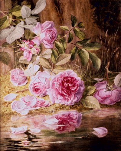 Rosas de Blairie de Mary Elizabeth Duffield