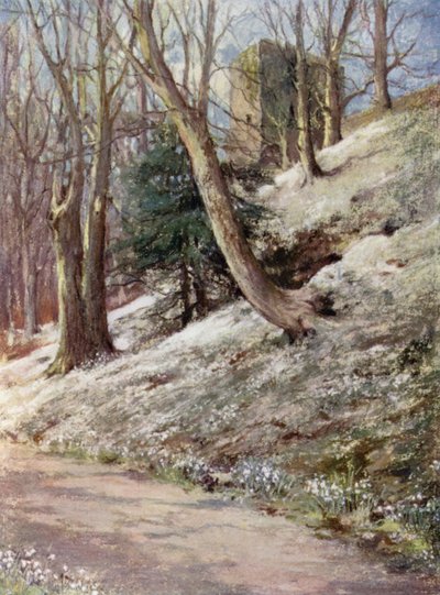 Jardines escoceses: Ardgowan de Mary Georgina Wade Wilson