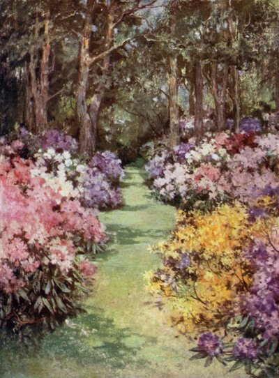 Jardines Escoceses: The Hirsel de Mary Georgina Wade Wilson