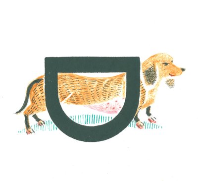 D es para dachshund de Mary Kuper