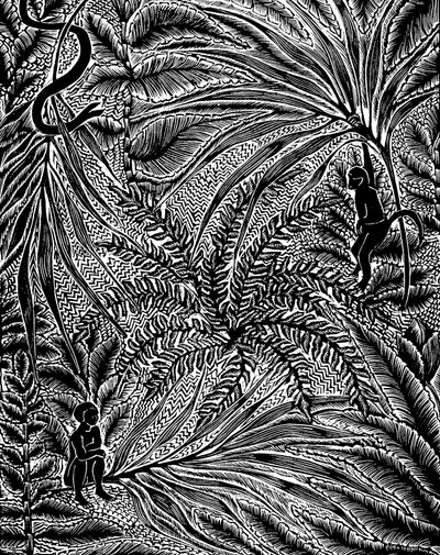 Selva de Mary Kuper