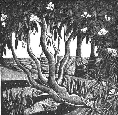 Rododendros, Holland Park, 2006 (grabado en vinilo) de Mary Kuper