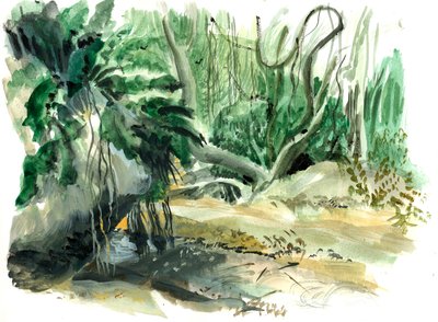 Tyrona, selva, 2008 (acuarela) de Mary Kuper