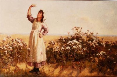 Cardo volador de Mary Louise Breakell