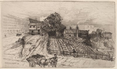 Una granja urbana—Nueva York de Mary Nimmo Moran